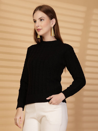 Black Textured Knitted Woollen Sweater