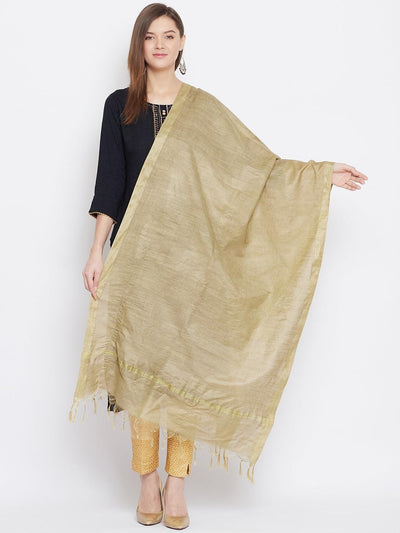 Fawn Solid Tussar Silk Dupatta from Clora Creation styled with kurta set.
