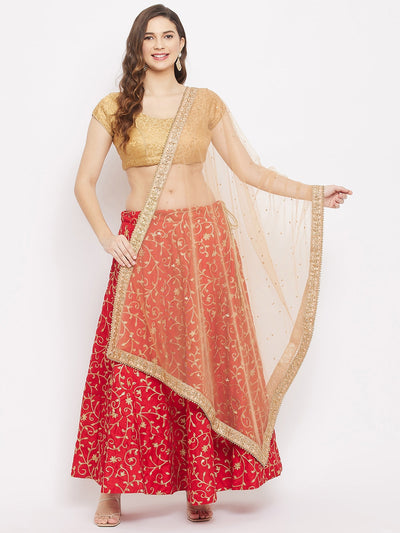 Clora Fawn Embellished Dupatta with Beads and Stones