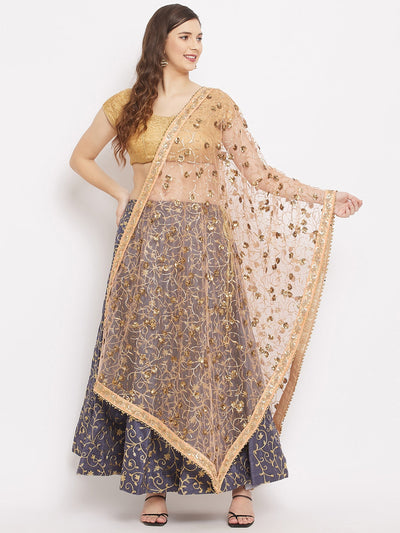 Clora Fawn Embellished Net Dupatta 