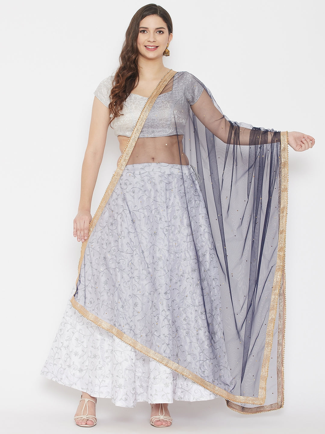 Clora Navy Blue Embellished Net Dupatta 
