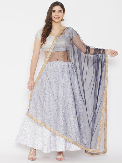 Clora Navy Blue Embellished Net Dupatta 