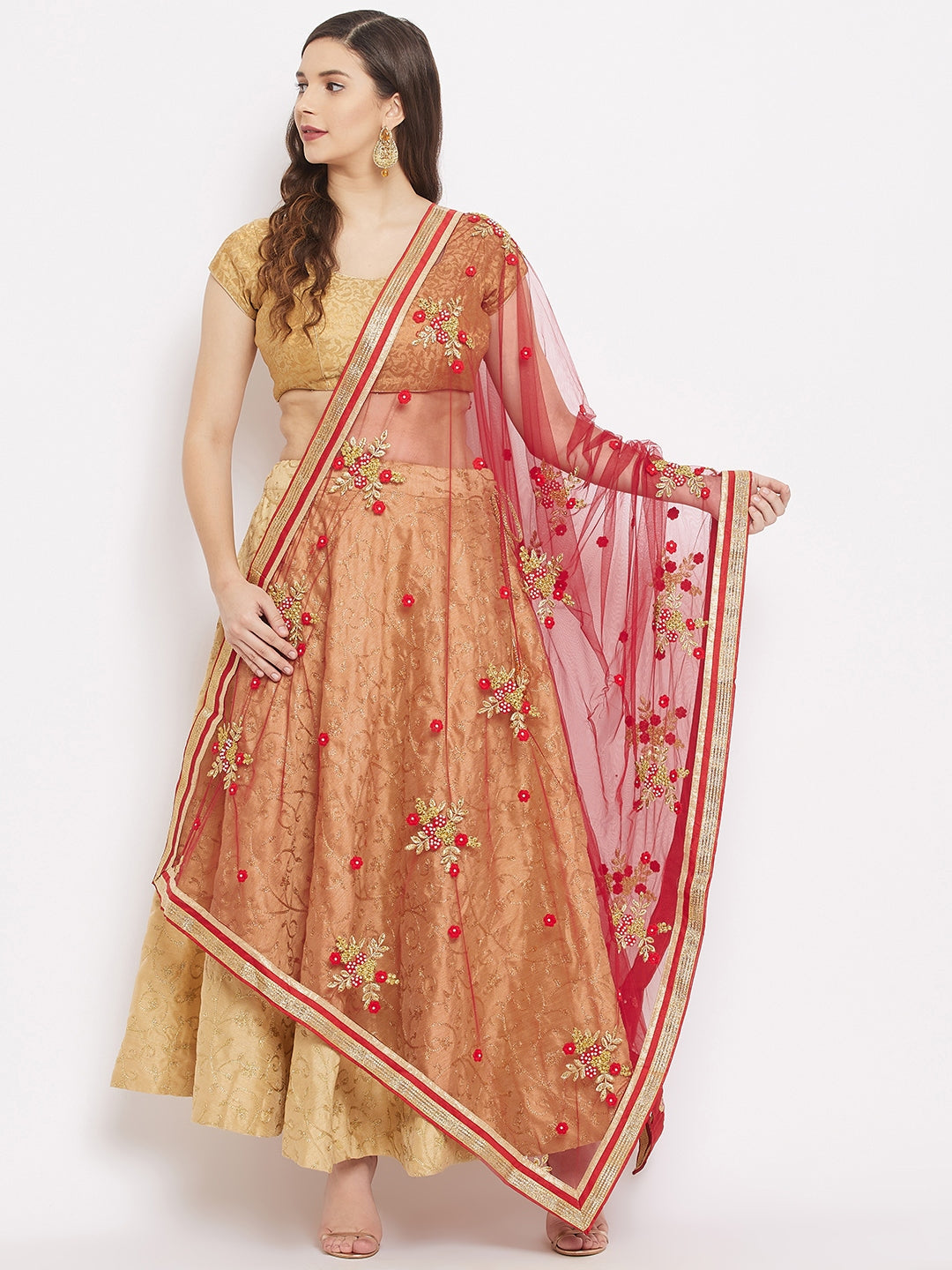 Clora Maroon Embroidered Net Dupatta 