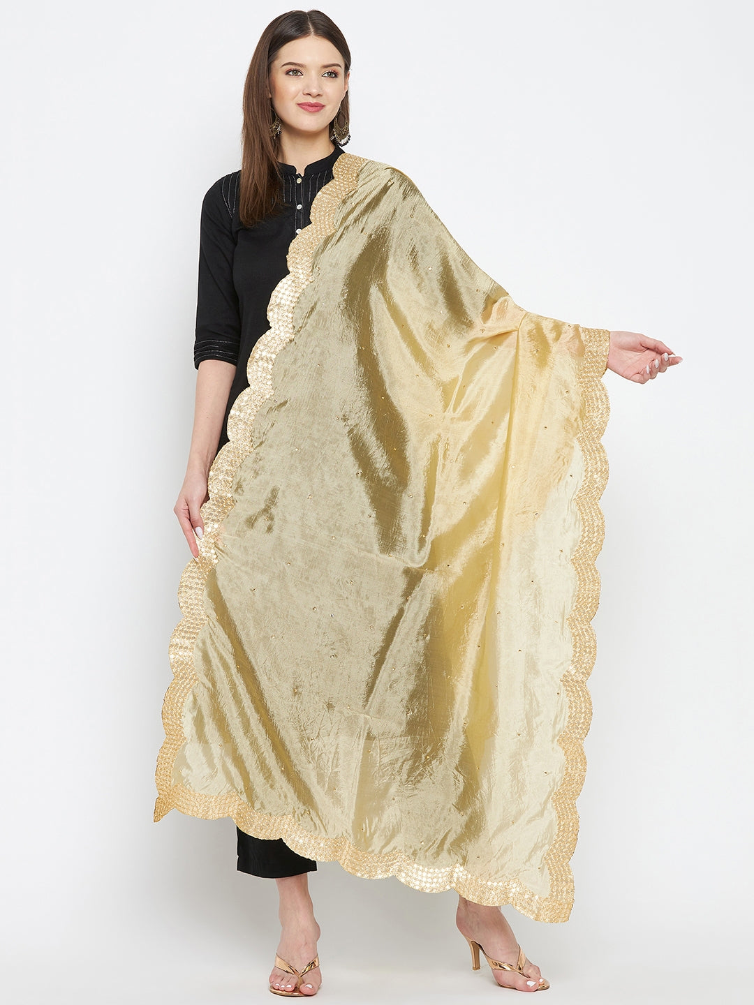 Fawn Embellished Silk Dupatta