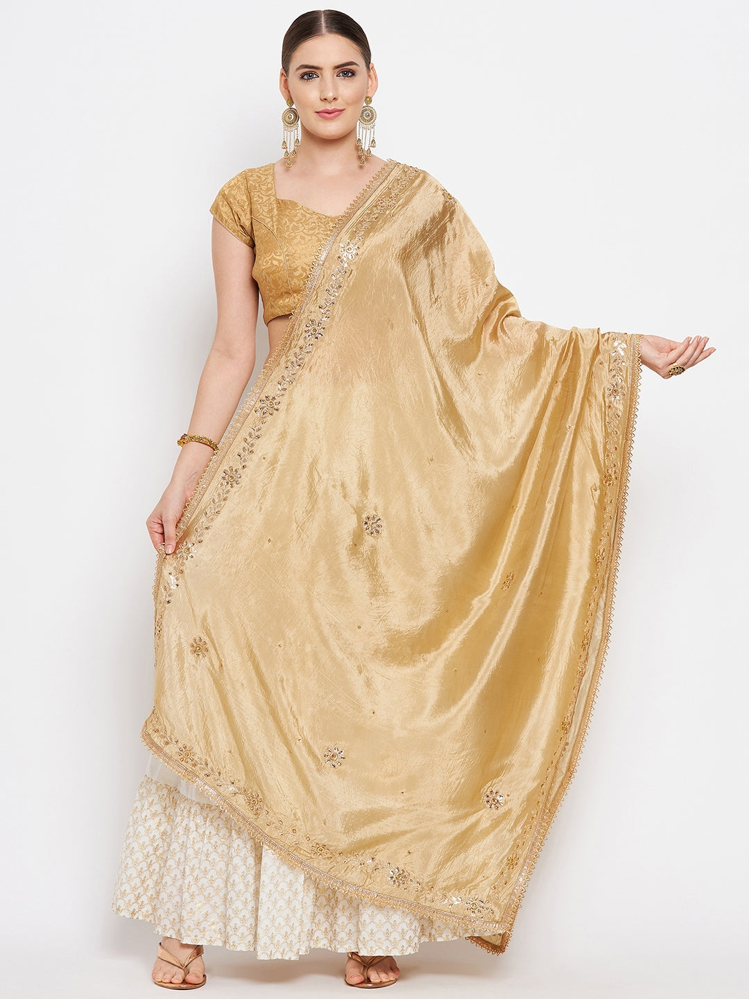 Clora Fawn Embellished Silk Blend Dupatta