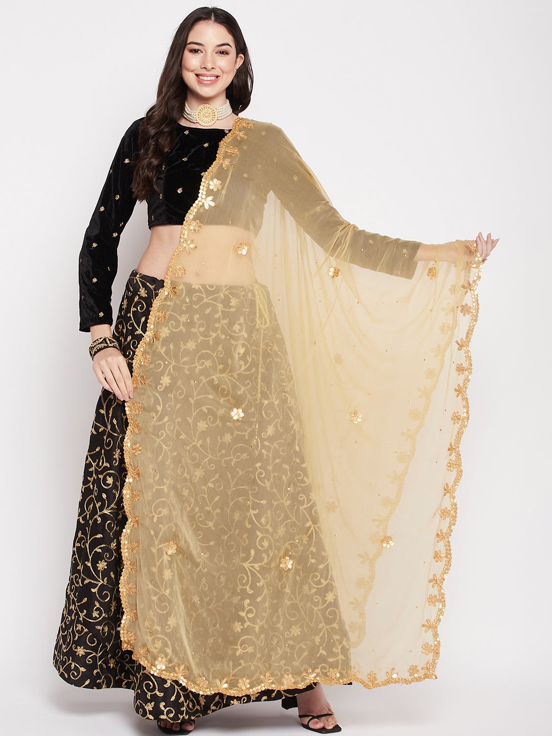Fawn Gotta Patti Chiffon Dupatta with embellished border.