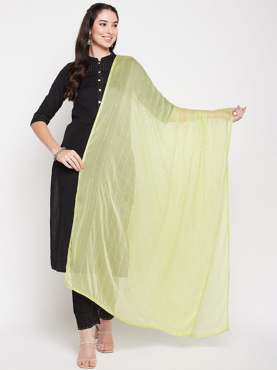Clora Pista Green Embroidered Chiffon Dupatta with Sequinned