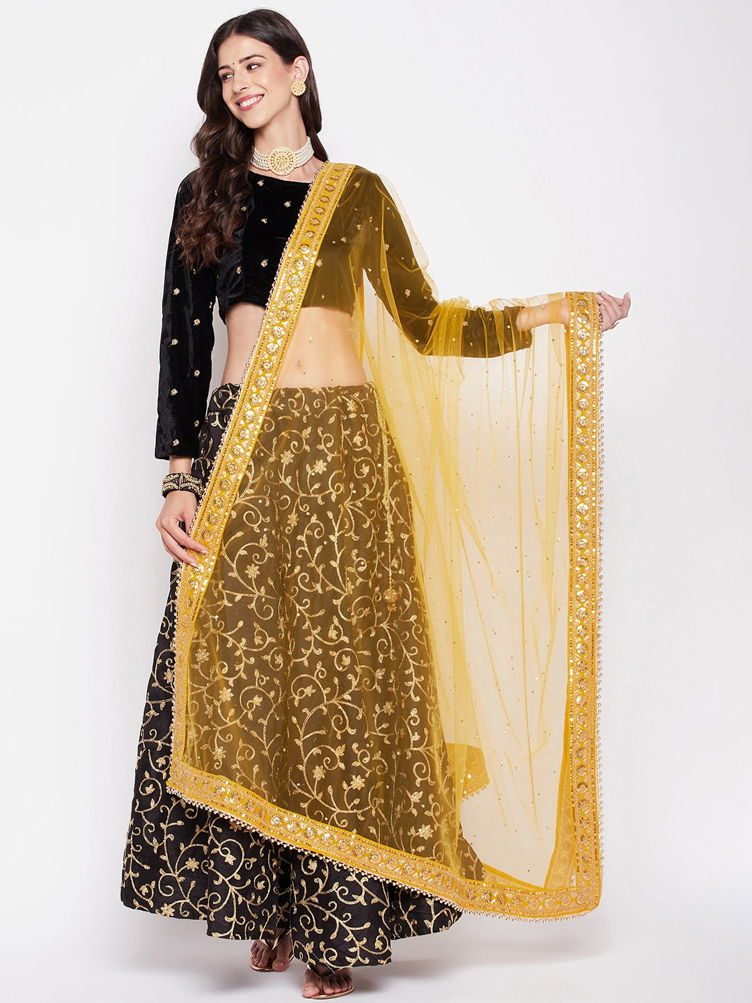 Clora Mustard Embellished Net Dupatta with Sequinned