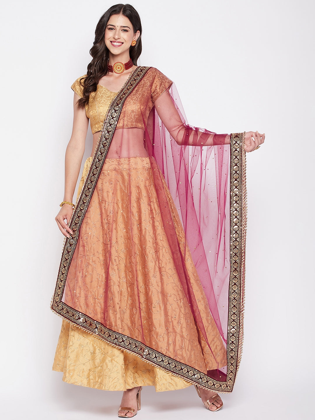 Clora Wine Embellished Net Dupatta with Sequinned