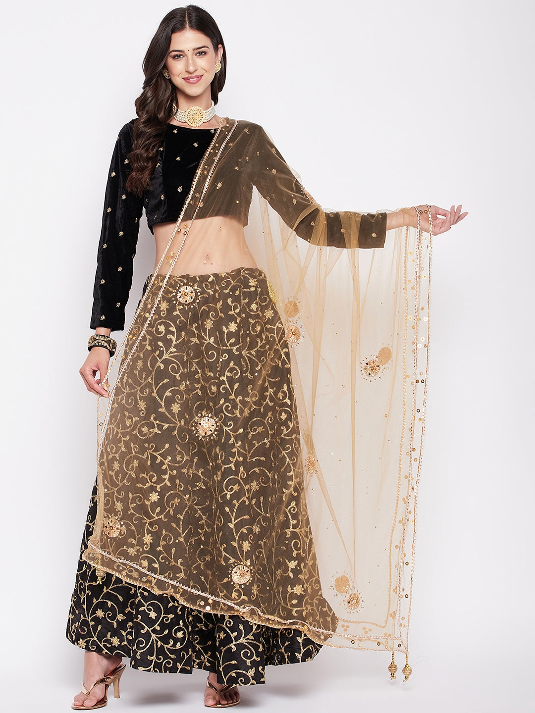 Fawn embellished net dupatta with gotta patti and sequinned ethnic motifs.