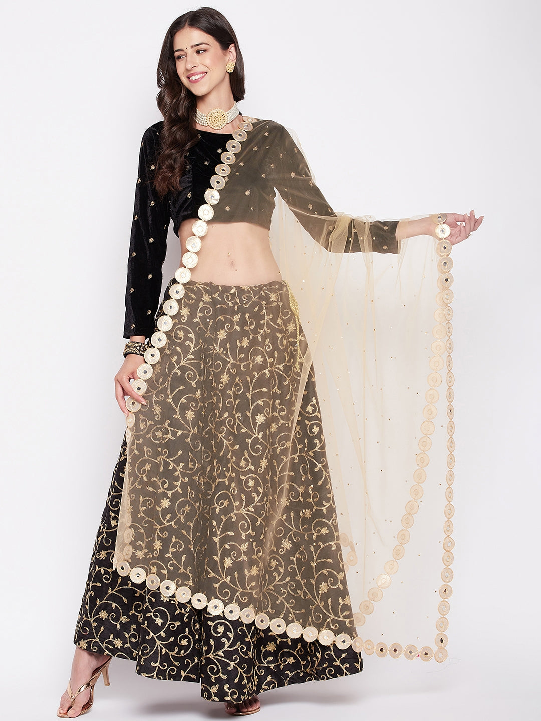 Clora Fawn Embellished Net Dupatta with Sequinned