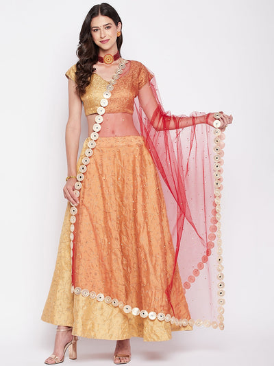 Maroon embellished net dupatta with sequinned border design.
